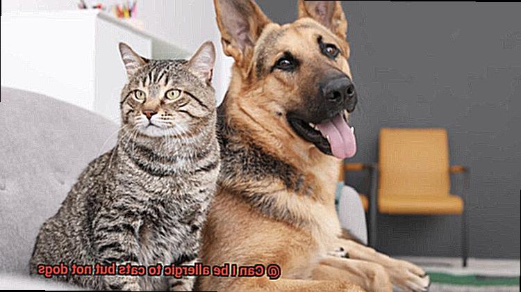 Can I be allergic to cats but not dogs-4