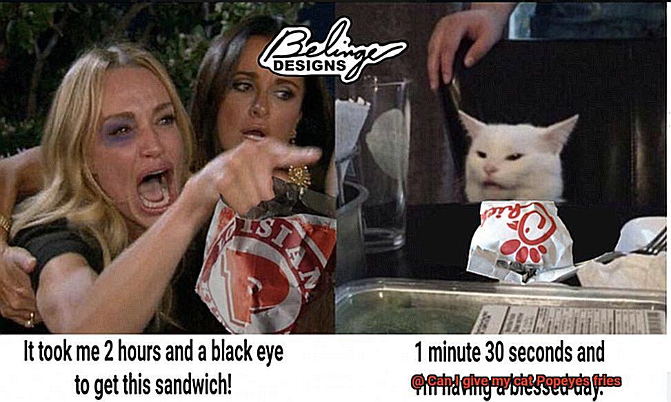 Can I give my cat Popeyes fries-6
