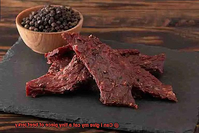 Can I give my cat a tiny piece of beef jerky-4