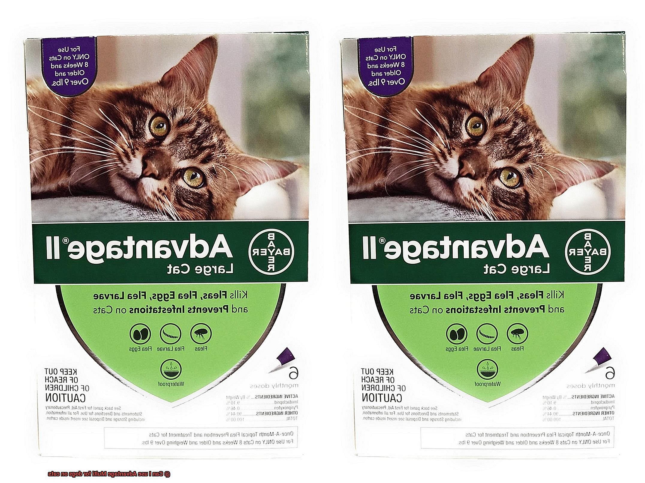 Can I use Advantage Multi for dogs on cats-2