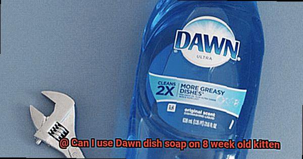 Can I use Dawn dish soap on 8 week old kitten-4
