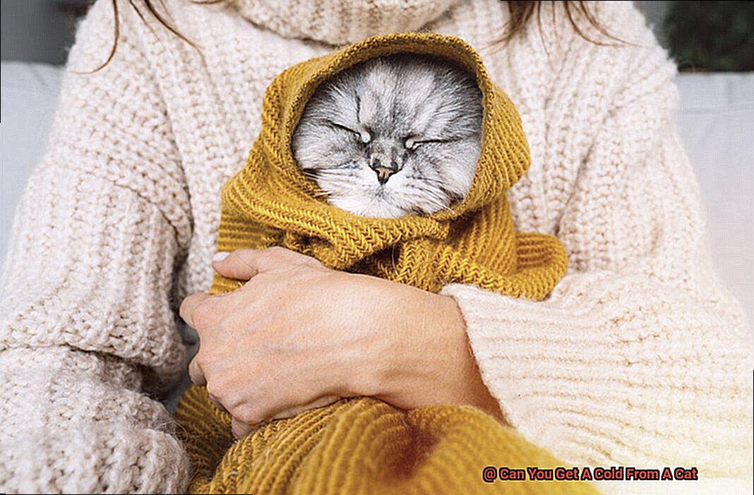 Can You Get A Cold From A Cat-6
