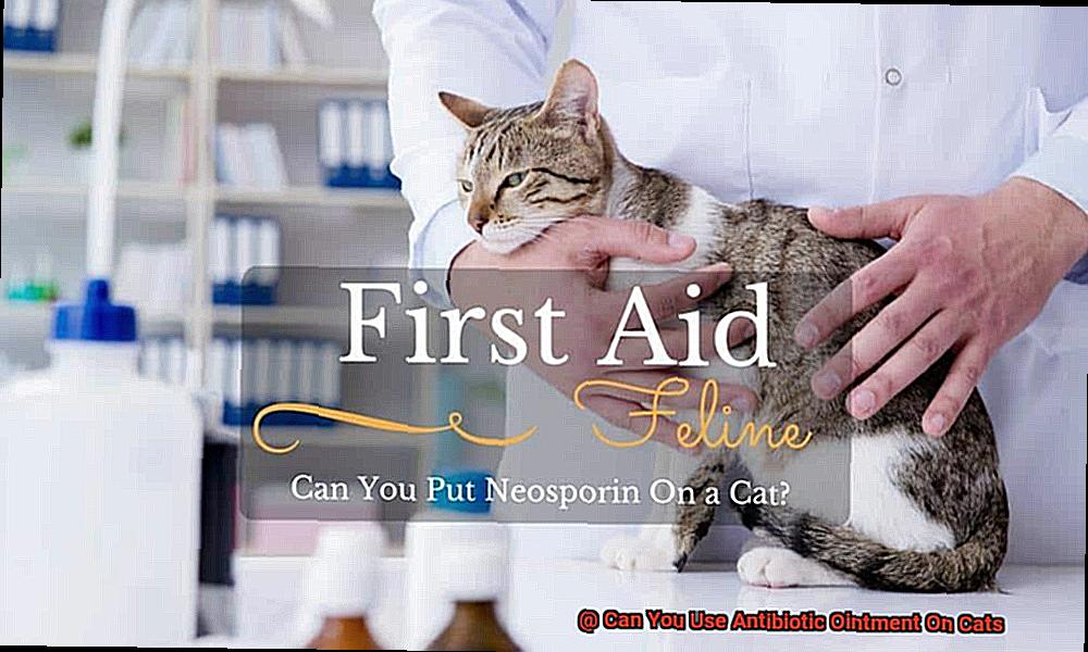 Can You Use Antibiotic Ointment On Cats-4