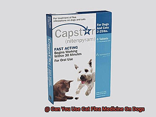 Can You Use Cat Flea Medicine On Dogs-3
