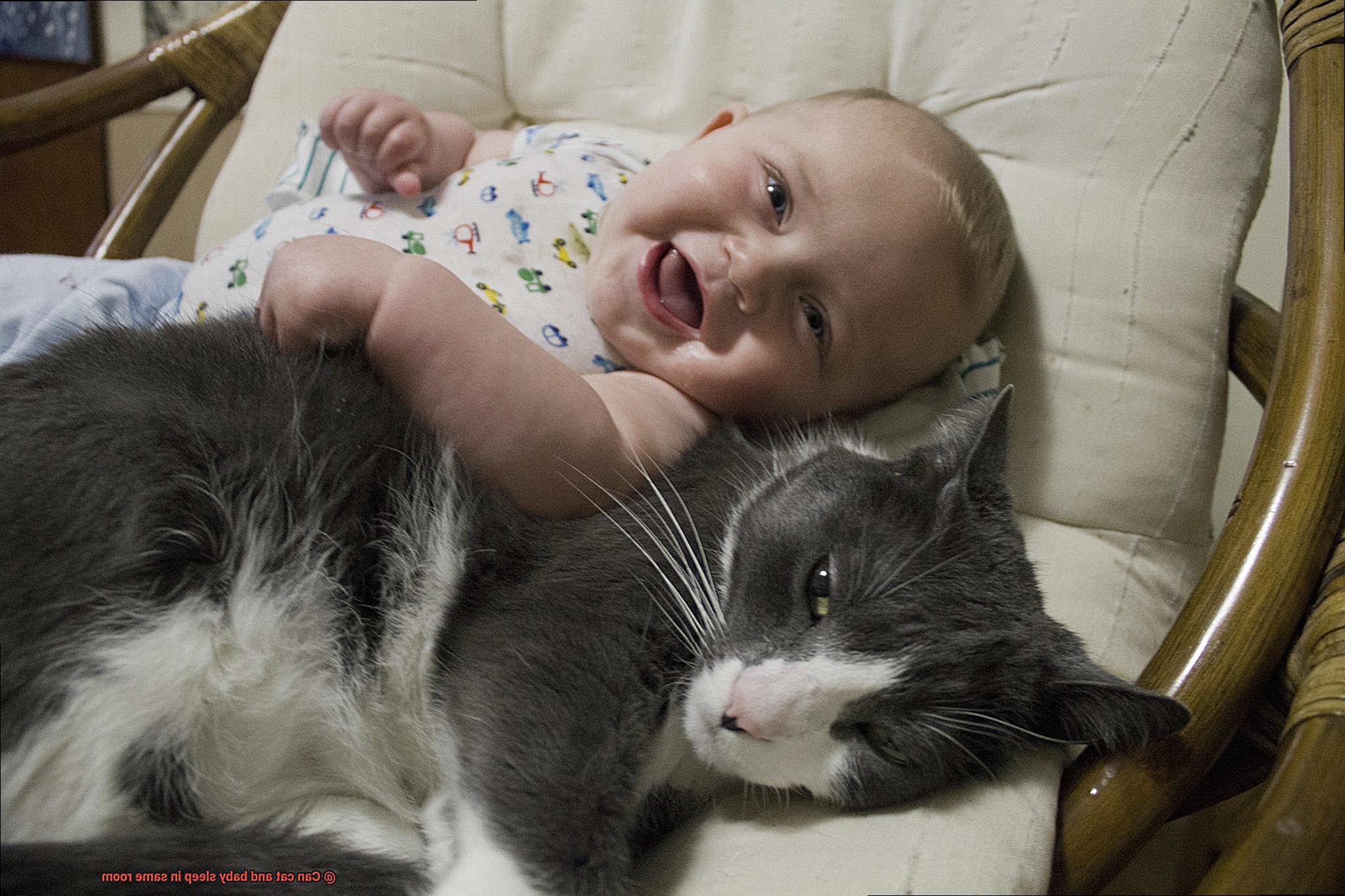 Can cat and baby sleep in same room-2