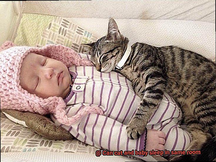 Can cat and baby sleep in same room-6