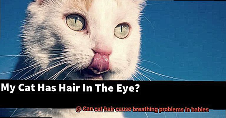 Can cat hair cause breathing problems in babies-4