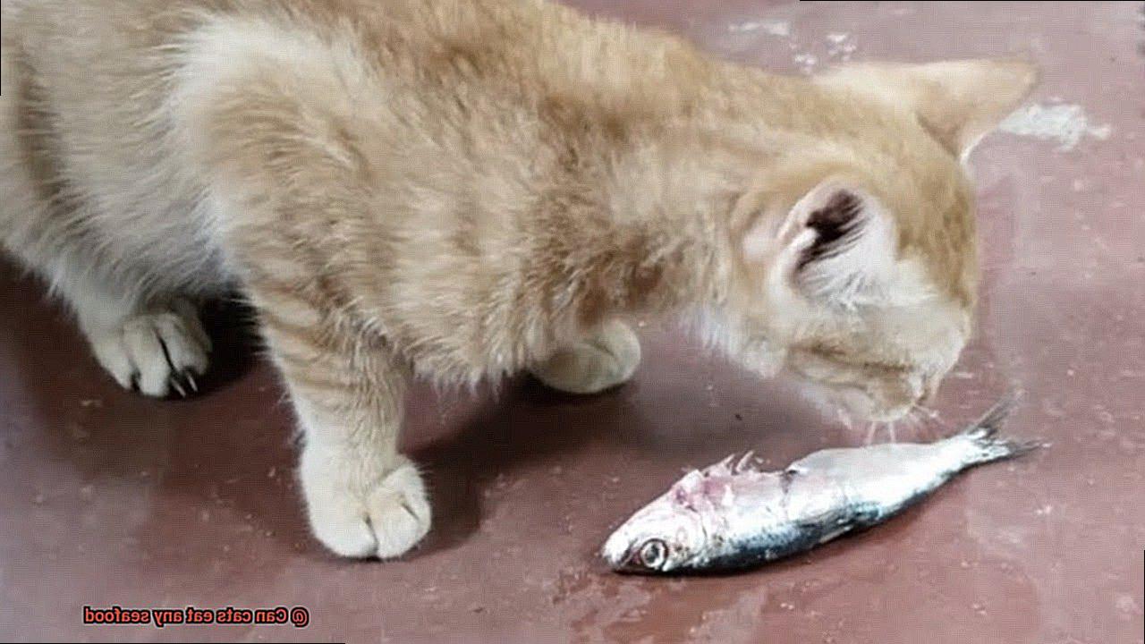 Can cats eat any type of chicken-2