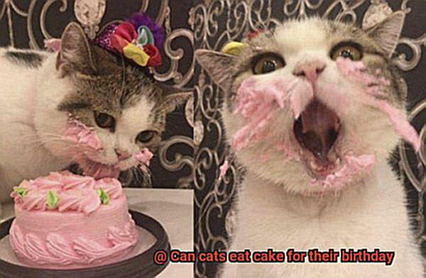 Can cats eat cake for their birthday-2