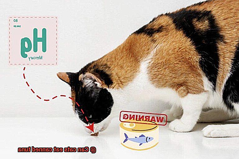 Can cats eat canned tuna-3