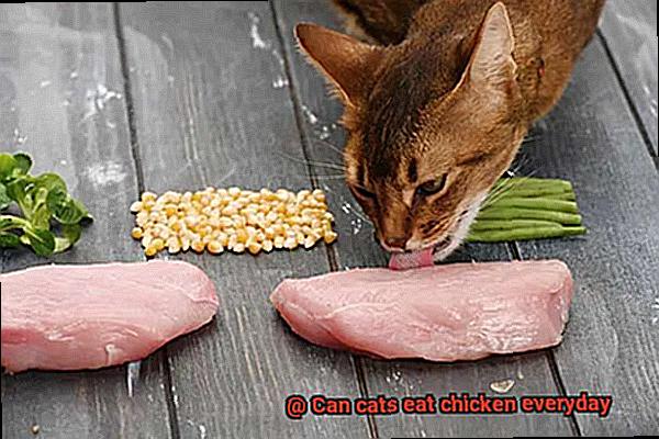 Can cats eat chicken everyday-2