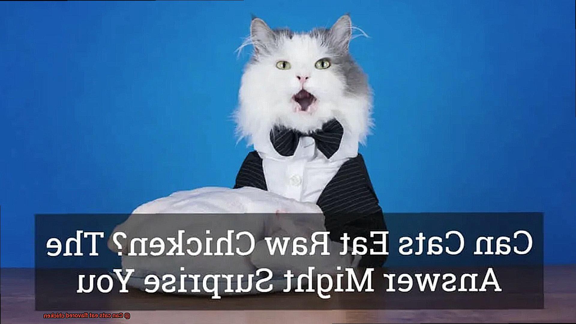 Can cats eat flavored chicken-3