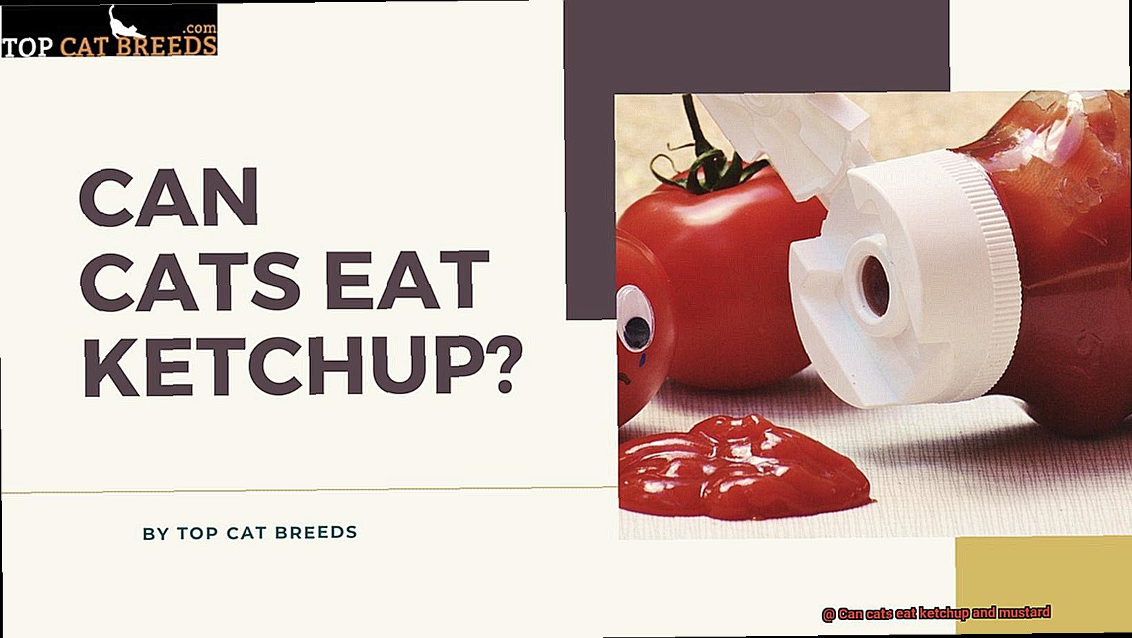 Can cats eat ketchup and mustard-8