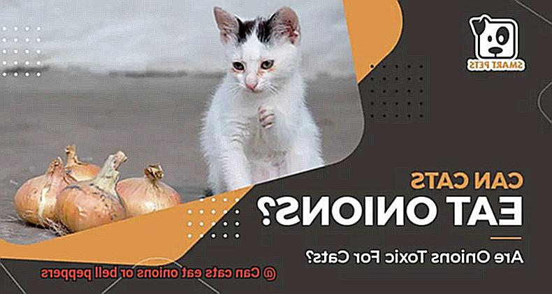 Can cats eat onions or bell peppers-4