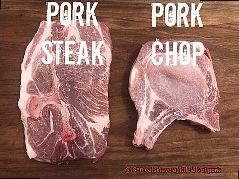 Can cats have a little bit of pork-2