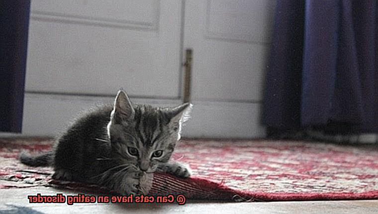 Can cats have an eating disorder-3