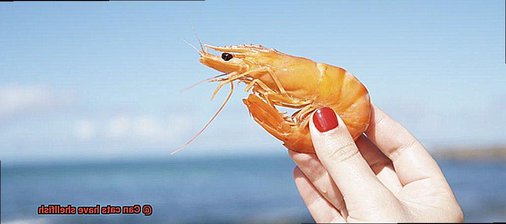 Can cats have shellfish-8