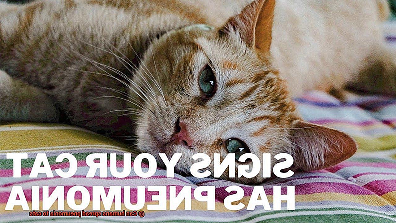 Can humans spread pneumonia to cats-6