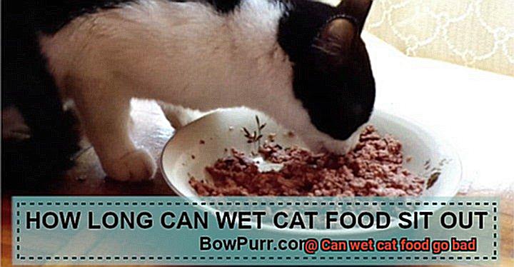 Can wet cat food go bad-2