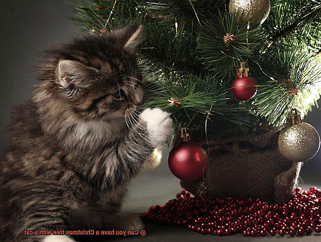 Can you have a Christmas tree with a cat-4