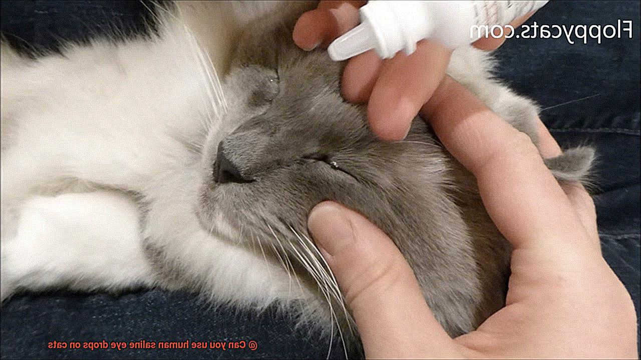 Can you use human saline eye drops on cats-4