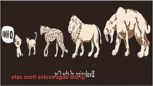 Did dogs evolve from cats-3