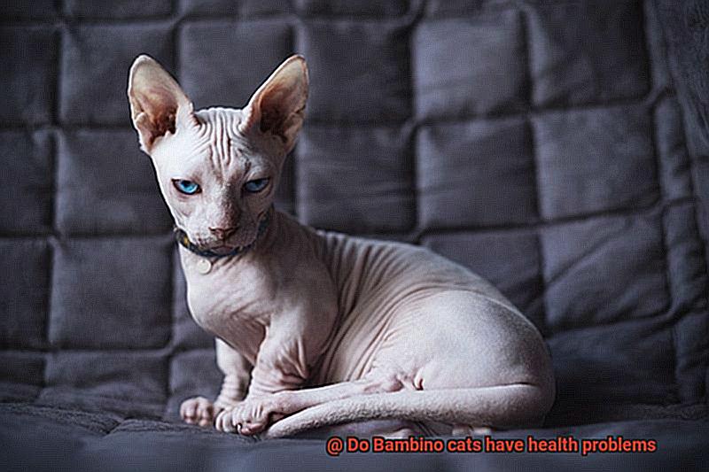 Do Bambino cats have health problems-3