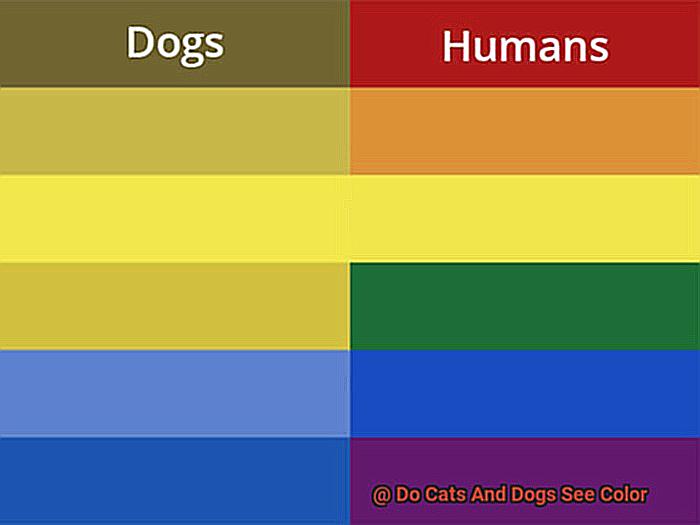 Do Cats And Dogs See Color-2