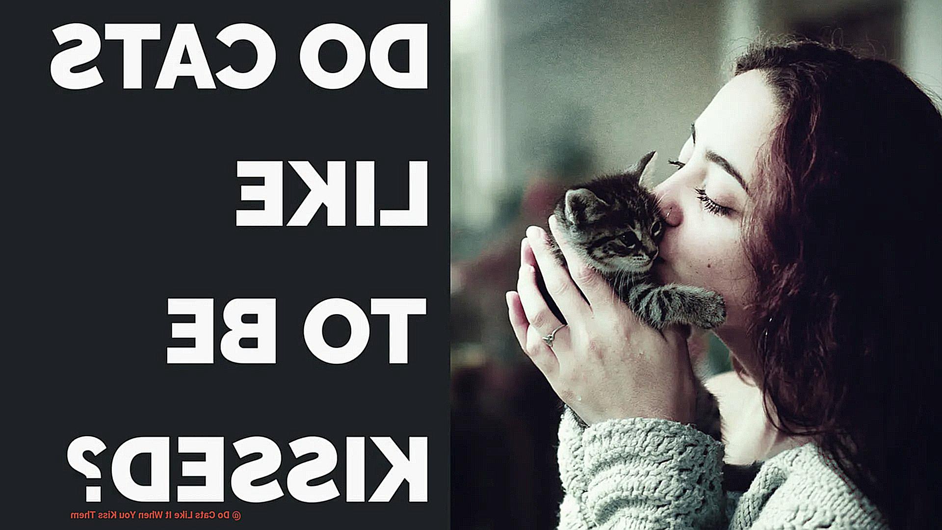 Do Cats Like It When You Kiss Them-4