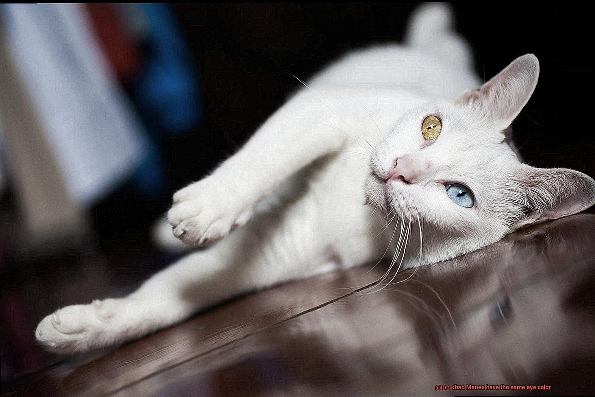 Do Khao Manee have the same eye color-7