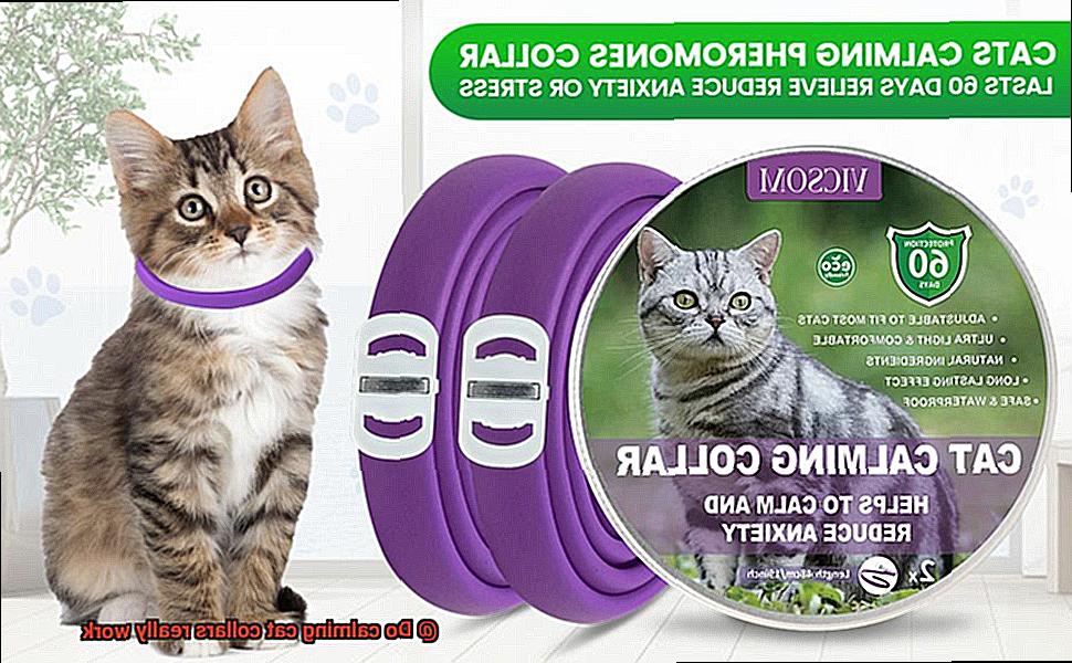 Do calming cat collars really work-2