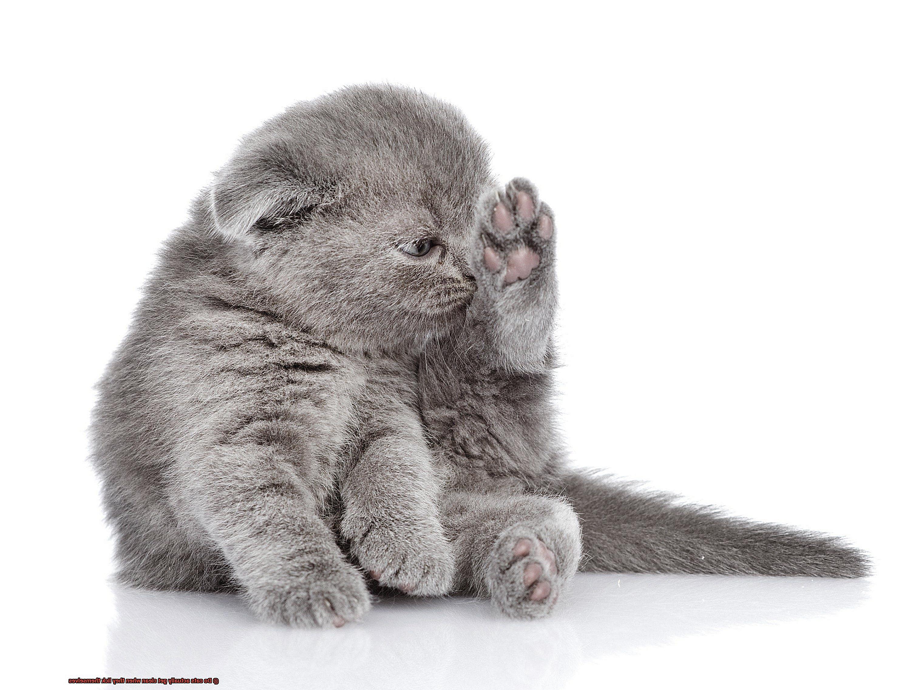 Do cats actually get clean when they lick themselves-3