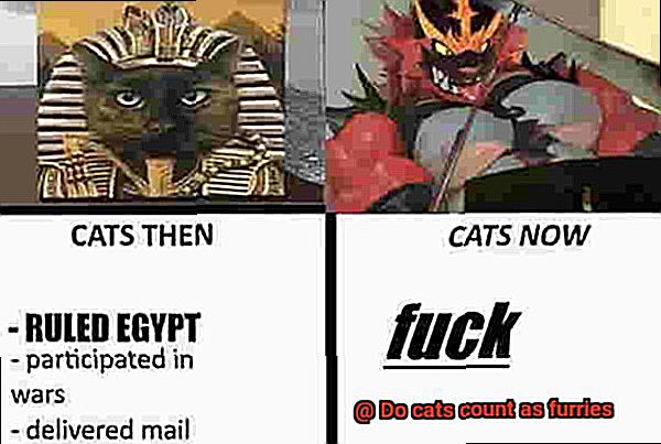 Do cats count as furries-5