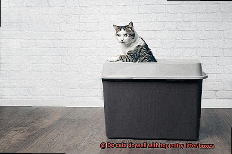 Do cats do well with top entry litter boxes-3