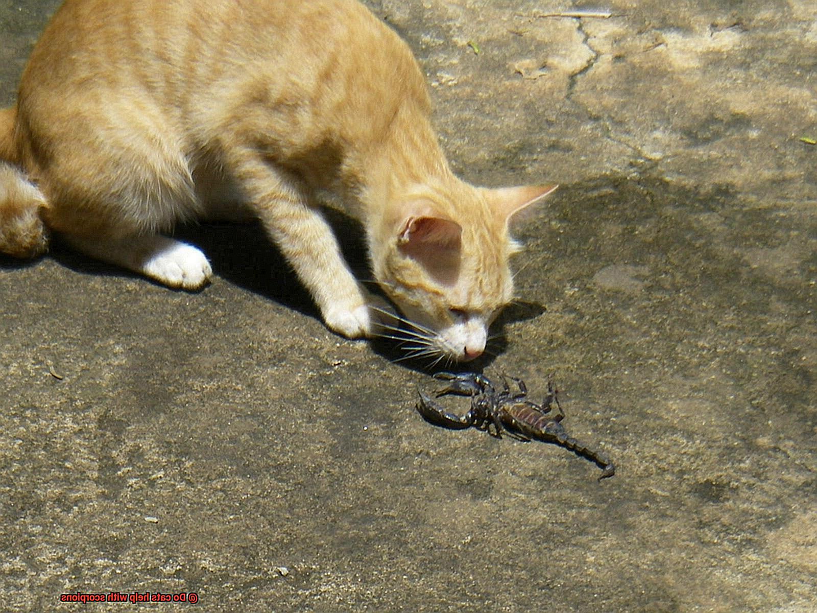 Do cats help with scorpions-3