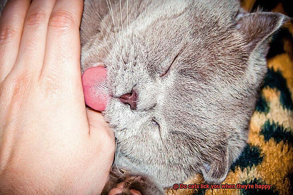 Do cats lick you when they're happy-4