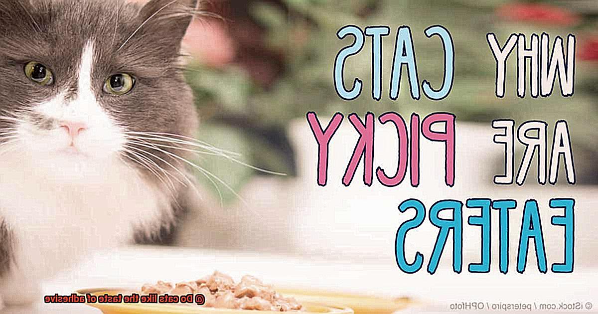Do cats like the taste of adhesive-4