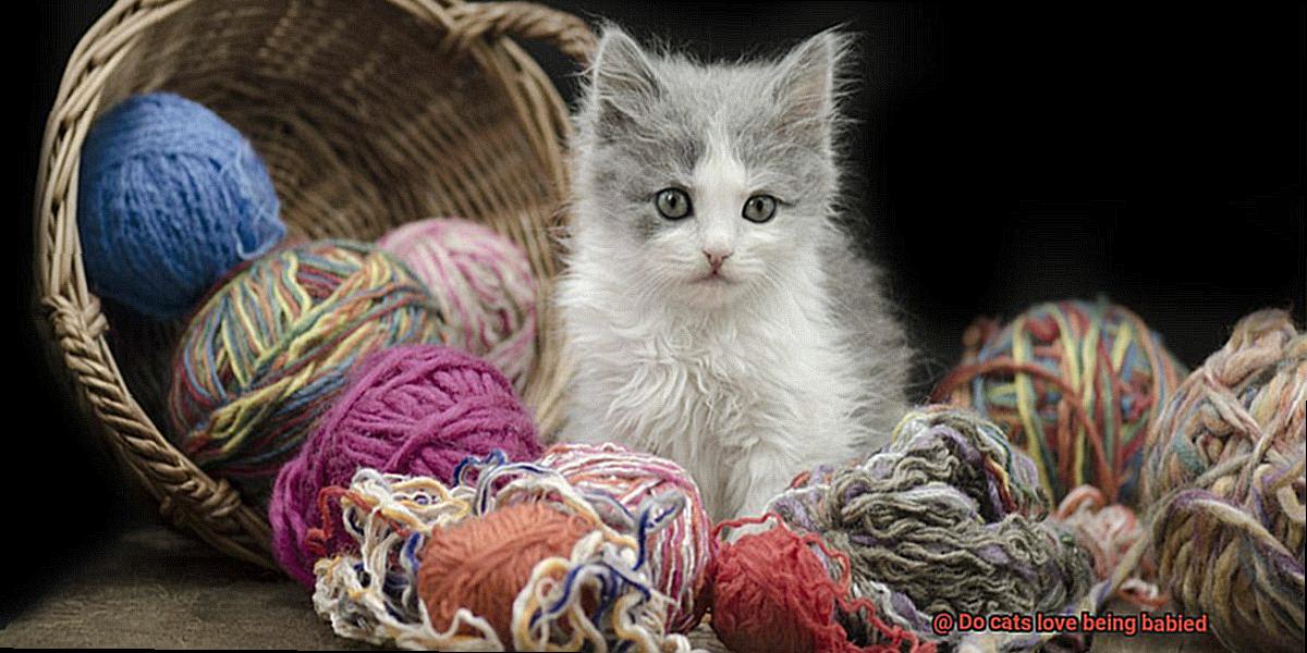 Do cats love being babied-3
