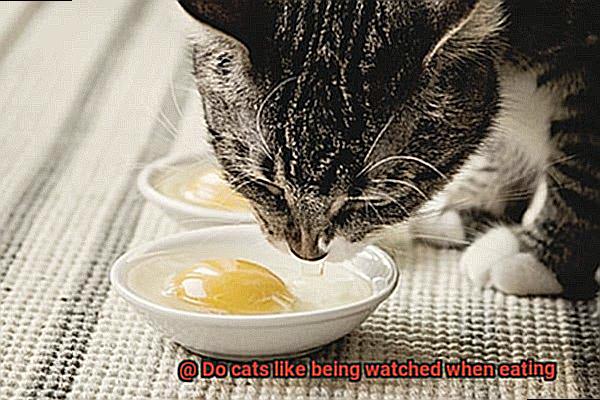 Do cats prefer to be in pairs-2