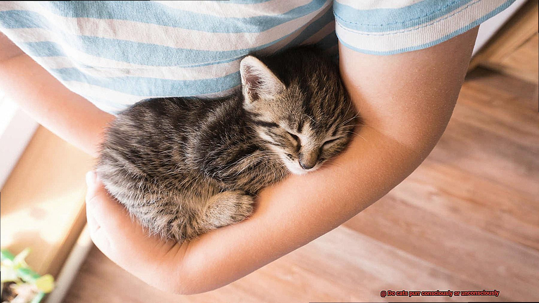 Do cats purr consciously or unconsciously-4