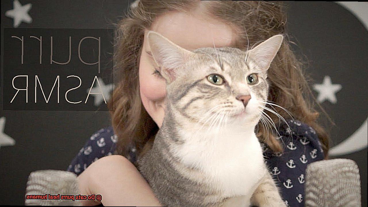 Do cats purrs heal humans-3