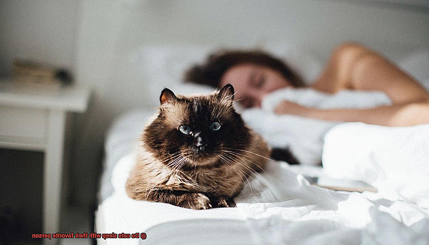 Do cats sleep with their favorite person-4