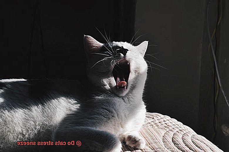 Do cats stress sneeze-8