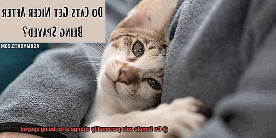 Do female cats personality change after being spayed-3