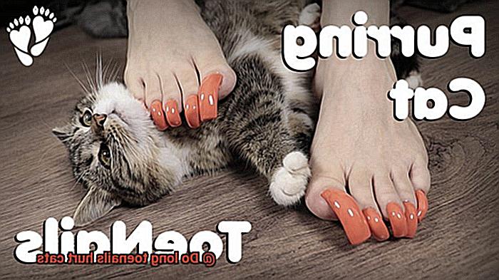 Do long toenails hurt cats-5