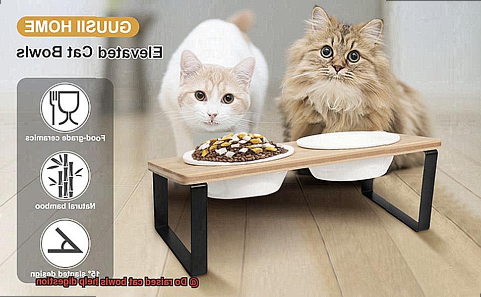 Do raised cat bowls help digestion-5