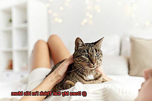 Does My Cat Think I'm His Mom-2