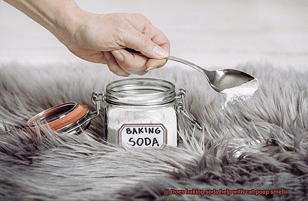 Does baking soda help with cat poop smell-2