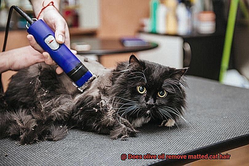 Does olive oil remove matted cat hair-2