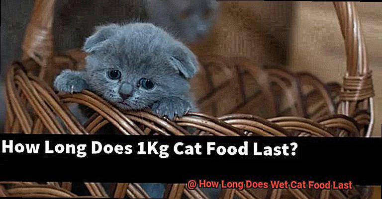 How Long Does Wet Cat Food Last-2